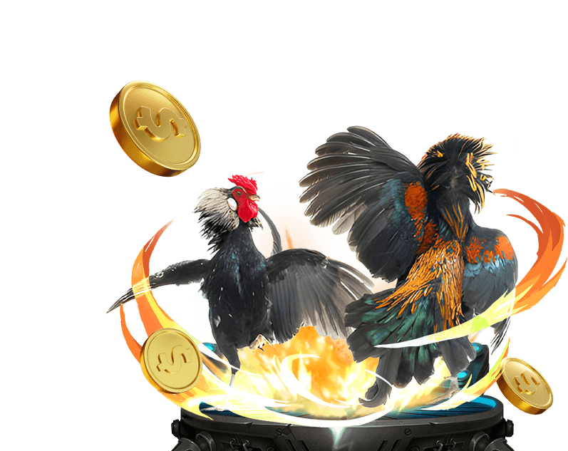 Biểu tượng hòa (BDD) trong đá gà, minh họa cho trường hợp trận đấu kết thúc không phân thắng bại.