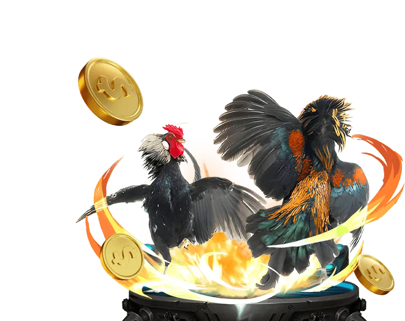 Biểu tượng hòa (BDD) trong đá gà, minh họa cho trường hợp trận đấu kết thúc không phân thắng bại.